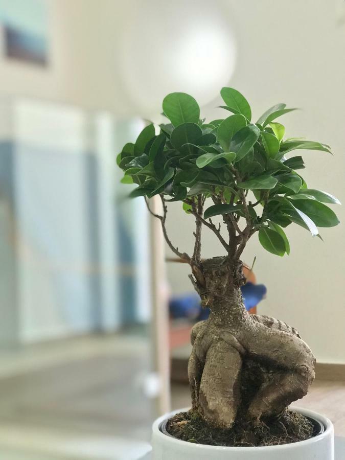 セトゥーバルCasa Do Poetaアパートメント エクステリア 写真